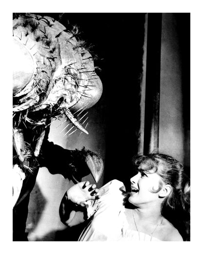 Johnny Cash joue de l'harmonica