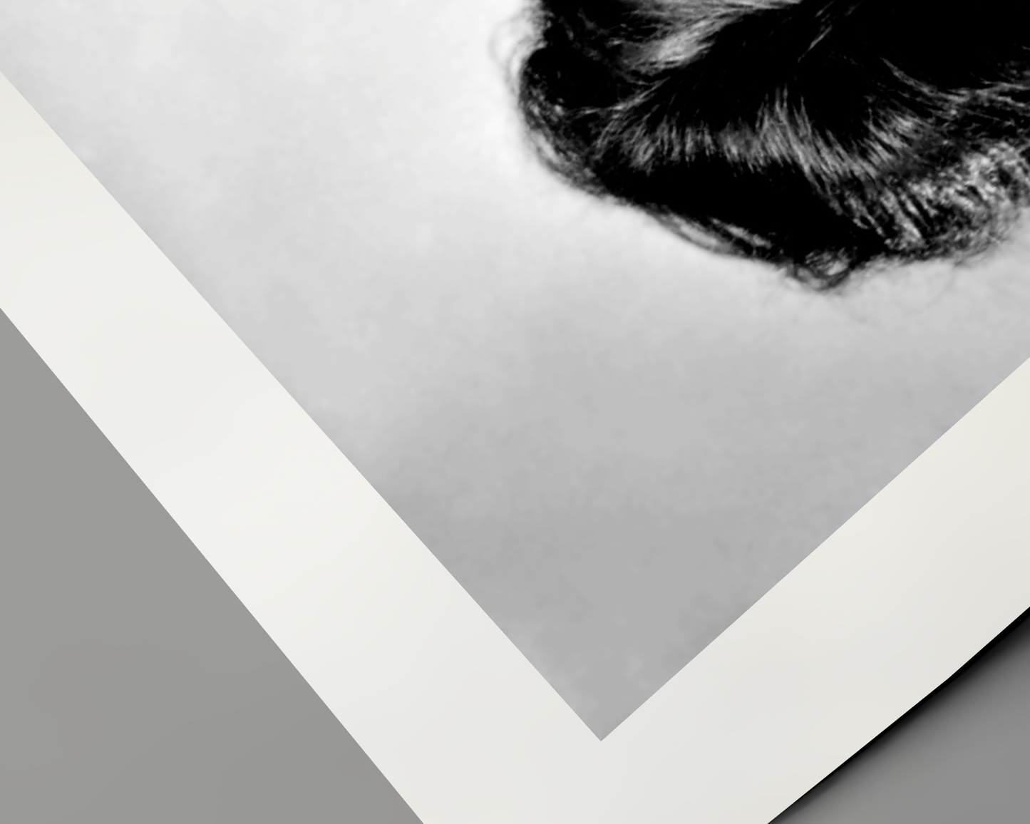 Sophia Loren: Fierce and Fashionable