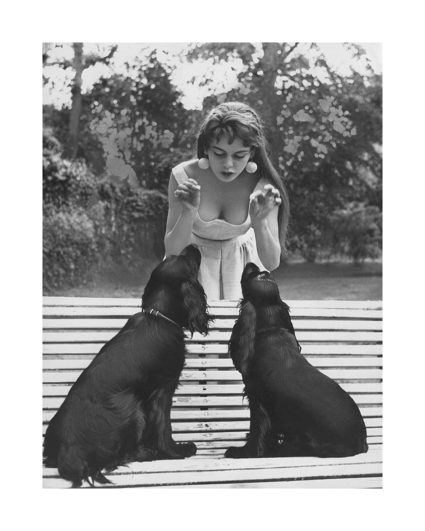Brigitte Bardot avec ses chiens