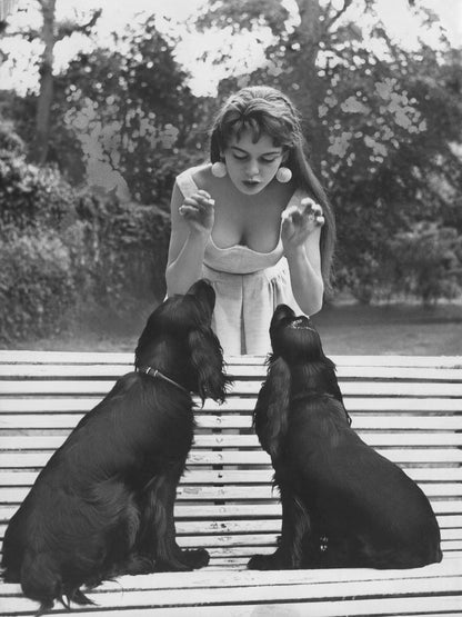 Brigitte Bardot avec ses chiens