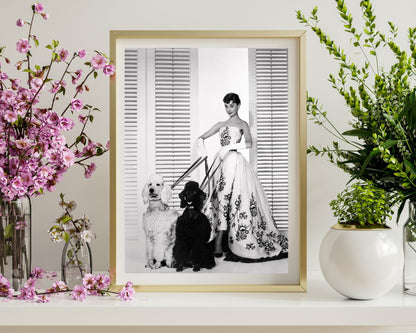 Audrey Hepburn in Gown with Dogs