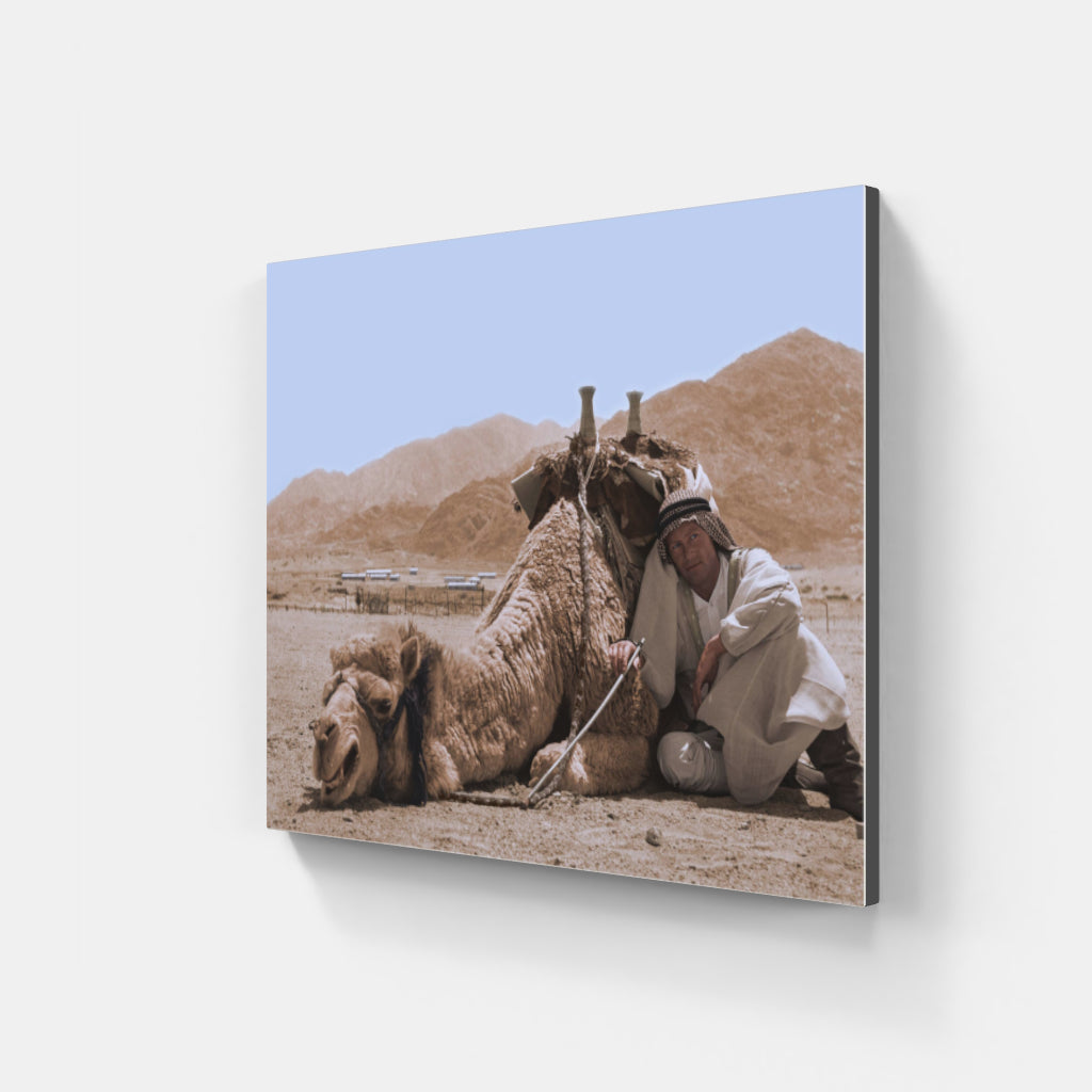 Lawrence of Arabia Camel Scene