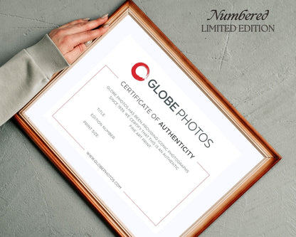 Métamorphose – Carly Anne Amos