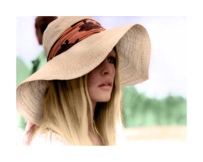 Brigitte Bardot: Hollywood's French Icon