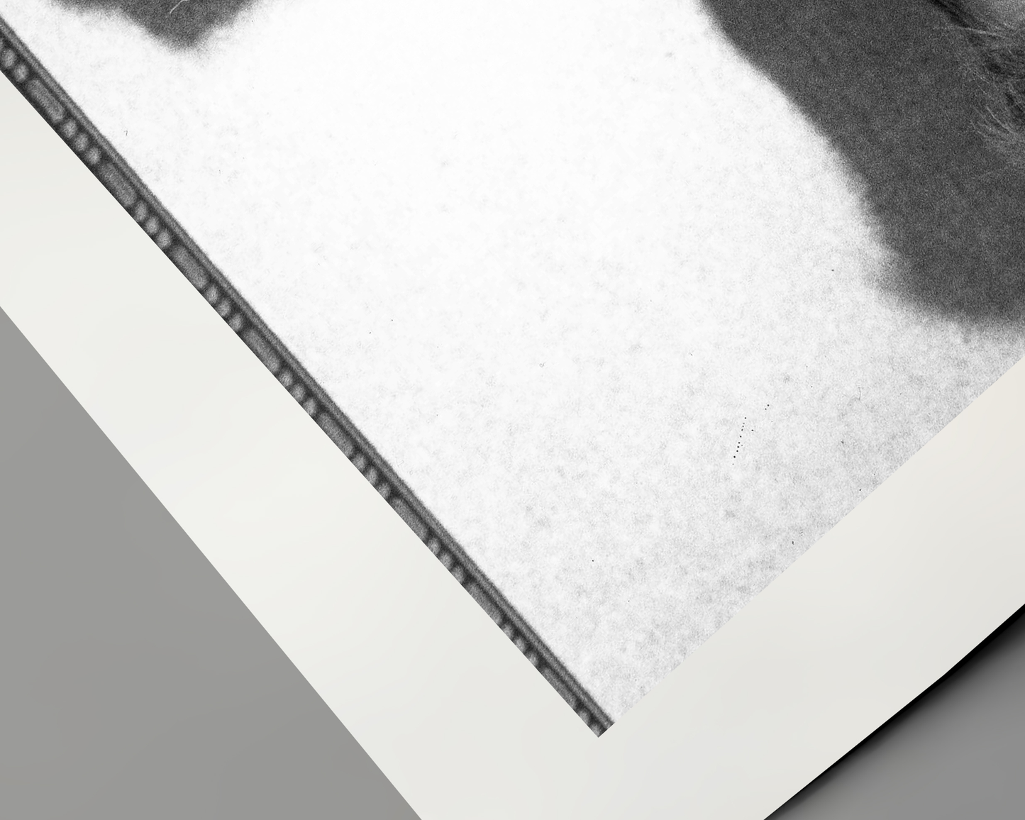 Johnny Cash spielt Mundharmonika