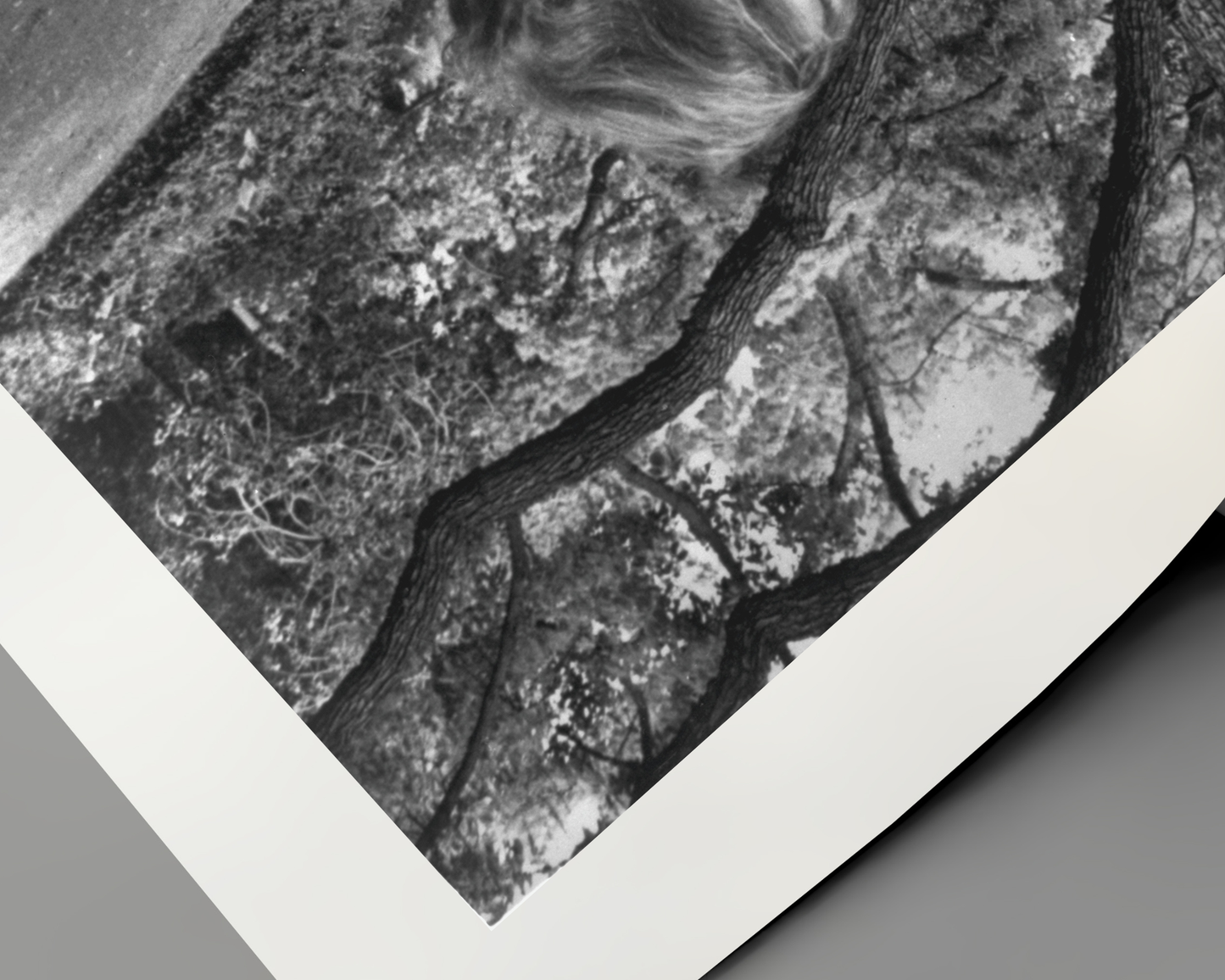 A Scene from Halloween