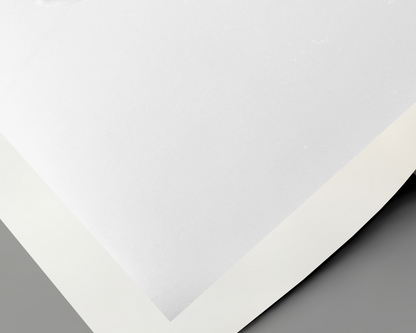 Marilyn Monroe in the Sunshine