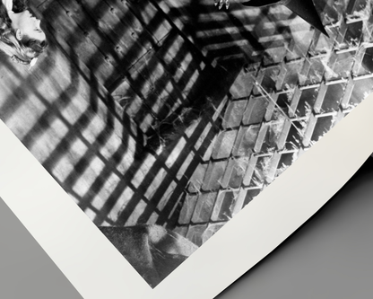 The Wizard of Oz: Elphaba vs. Dorothy