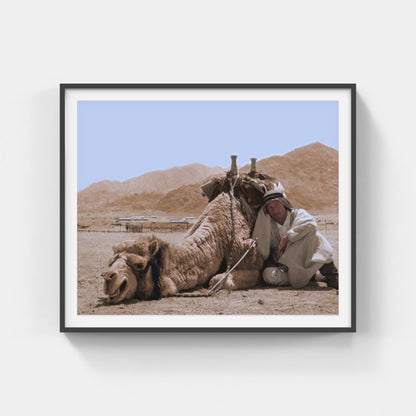 Lawrence of Arabia Camel Scene