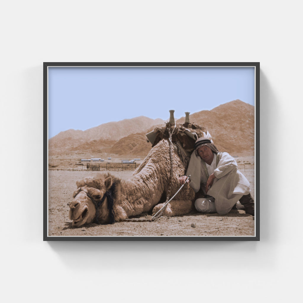 Lawrence of Arabia Camel Scene