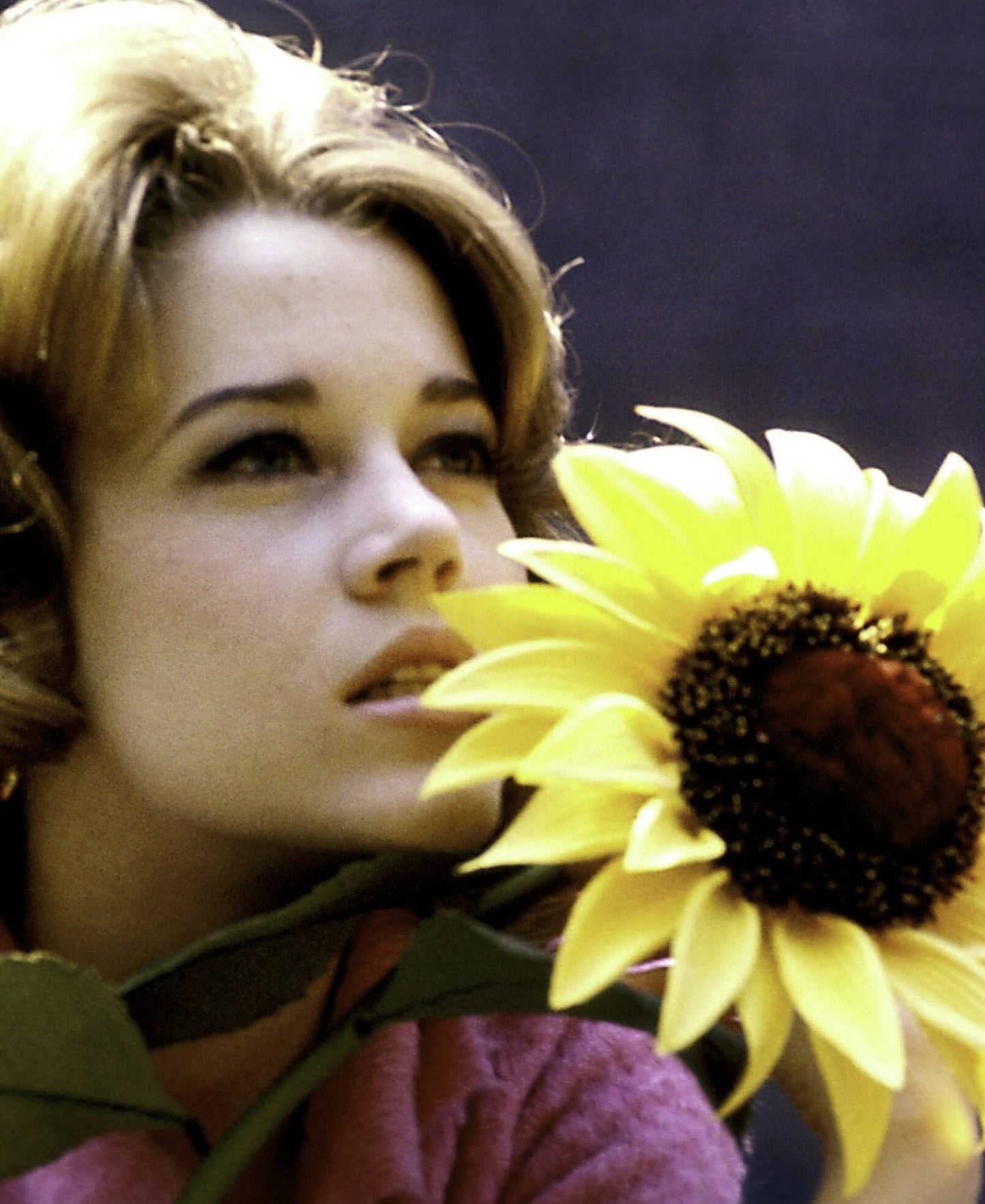 Jane Fonda with Sunflower